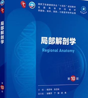 局部解剖学第10十版PDF电子书下载人卫版